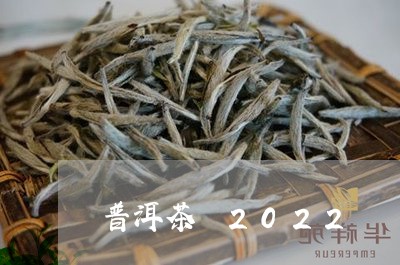 普洱茶 2022/2023031794837